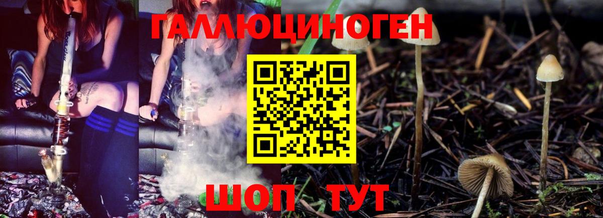 Псилоцибиновые грибы прущие грибы  Галлюциногенные грибы Magic Shrooms  Вход с VPN  Пенза 